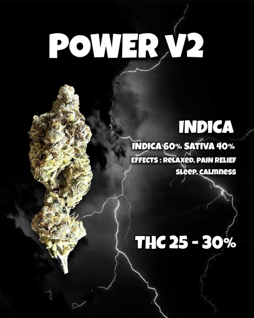 Power
สายพันธุ์: Indica 30% / Sativa 70%
กลิ่น: หอมฉุน สมุนไพร ลูกอม
เอฟเฟค: บรรเทาความเครียด, ความเจ็บปวด, ภาวะซึมเศร้า